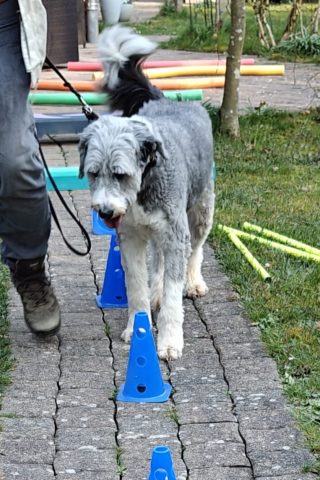 Koordinationstraining