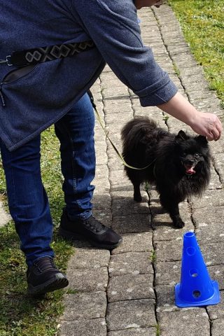 Gerätetraining