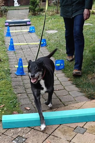 Aussdauertraining
